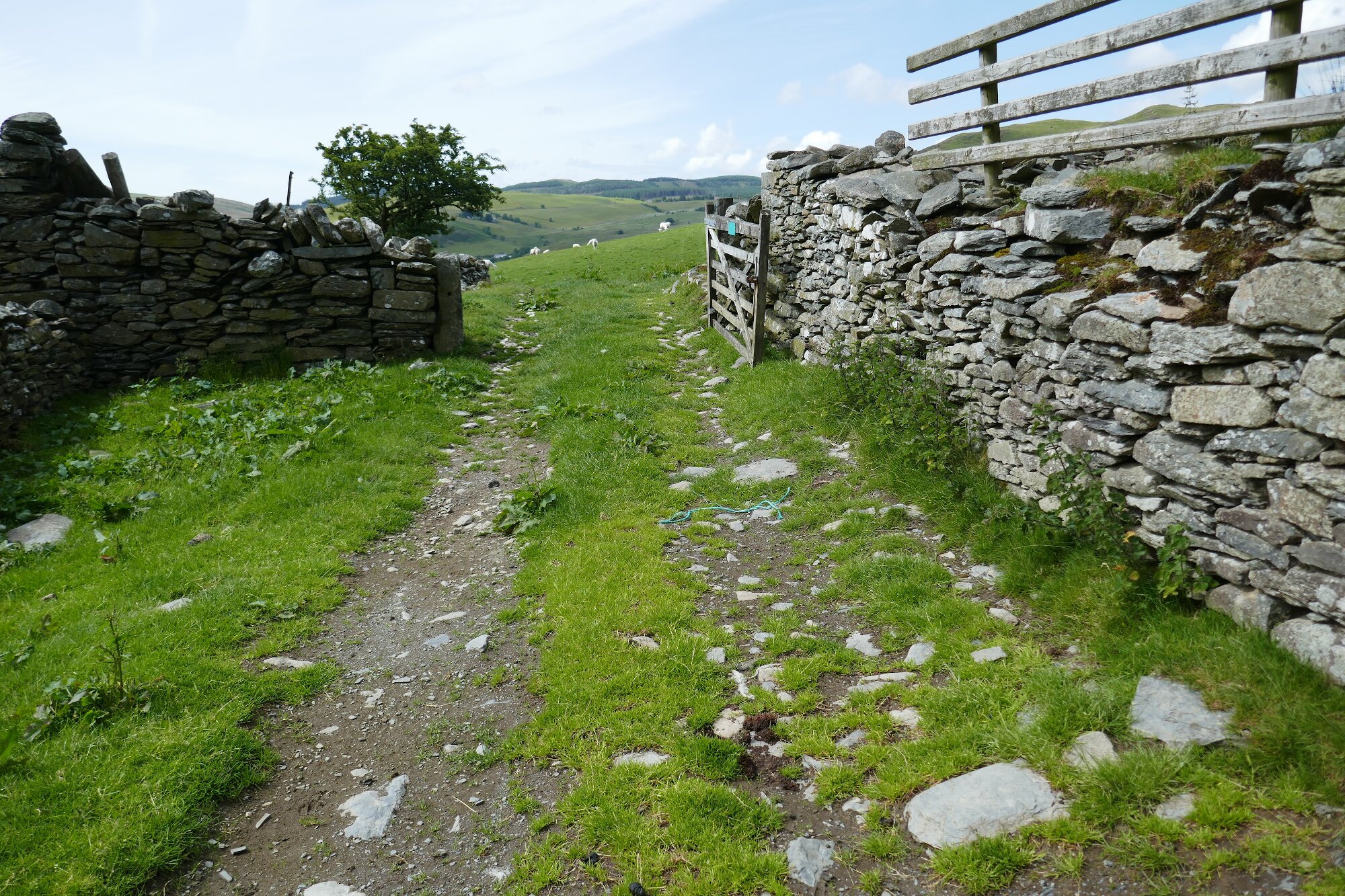 RachelSeabrook.net | Wild Walking | Cwmystwyth | pic56